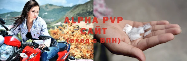 прущий лед Богданович