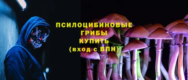 метадон Богородицк