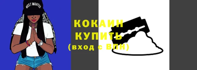 прущий лед Богданович
