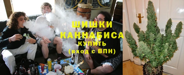 амф Снежинск