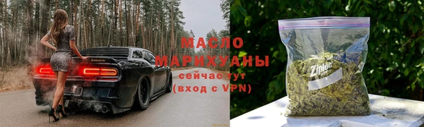 прущий лед Богданович